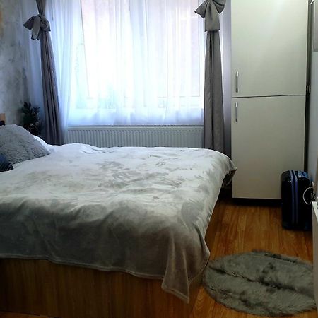 Garsoniera Ioana Apartment Sinaia Luaran gambar